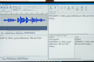 do a excelent gig of translation or transcribe