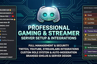do custom discord server setup revamp with bots and roles