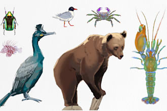 create customised animal illustrations