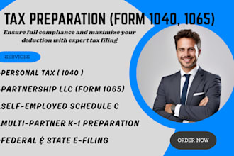 prepare US personal tax 1040, 1040nr, partnership llc tax return form 1065