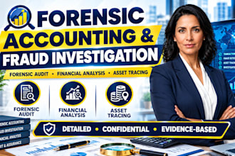 do forensic accounting, fraud investigation, audit, analysis and asset tracing