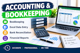 do professional bookkeeping, and financial data entry