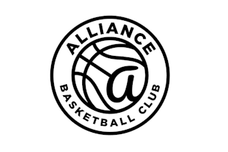 design a professional basketball team logo