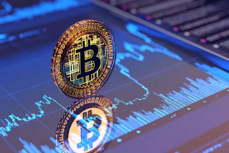 help you set up bitcoin wallet and learn crypto step by step