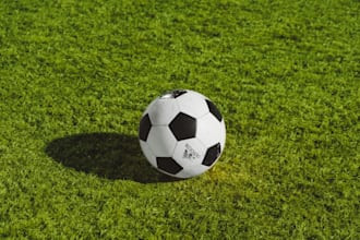 write engaging football articles and SEO sports blogs