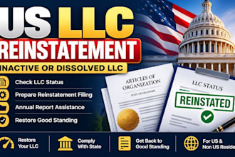 do US llc or corp reinstatement, amendment, dissolution, file llc annual report