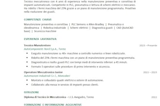 edit, rewrite, and optimize your ats resume or CV