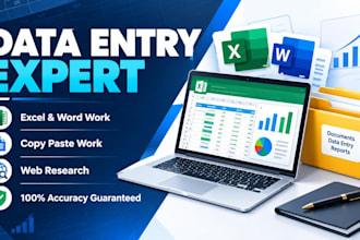 do professional data entry web research and copy paste work