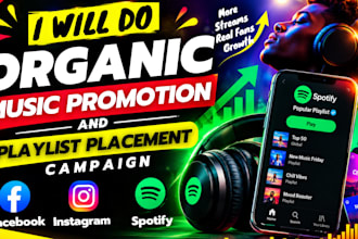 do organic music promotion and playlist placement campaign