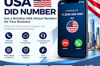 provide a USA did number for voip and business communication