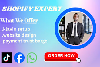 do shopify store website audit