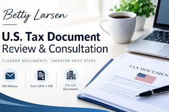 provide US tax document review and consultation