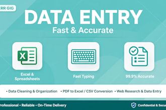 do data entry and excel typing work