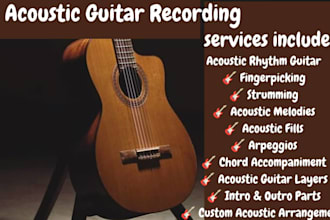 record professional acoustic guitar for your song