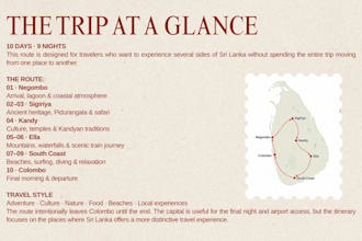 create a personalized travel itinerary and trip plan
