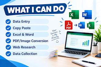 do accurate data entry, typing and web research