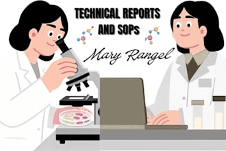 write professional technical report