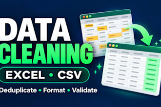clean and organize your excel or CSV data