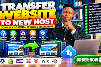transfer website to new host migrate domain hosting website migration service
