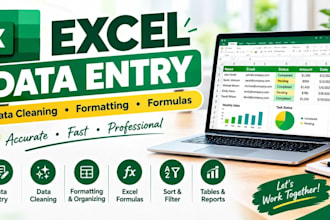 do data entry, web research, ms excel data entry, copy paste, logo design
