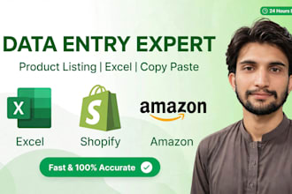 do accurate data entry product listing and excel copy paste