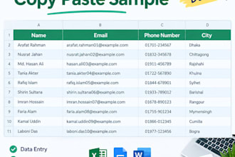 do professional data entry, copy paste and web research