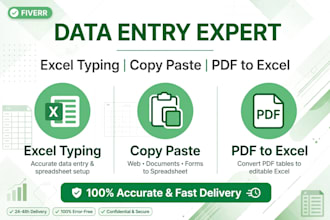 do data entry excel typing copy