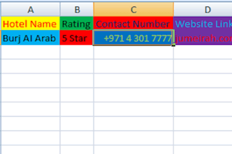 do perfect data entry , web research  and excel copy paste