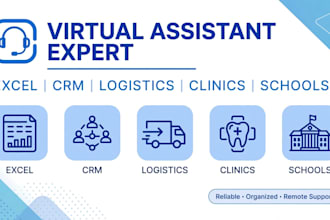 asistente virtual para excel, crm, clínicas y data entry