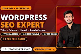 do on page and technical optimization for wordpress website
