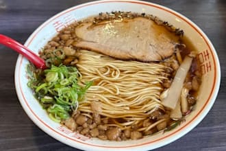 recommend the best ramen restaurants in japan for your trip