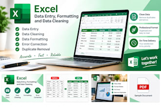 do excel data entry formatting and data cleaning