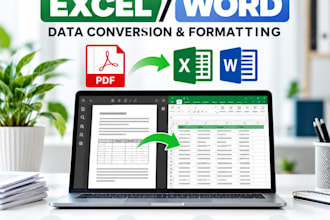 pdf to excel conversion and data formatting