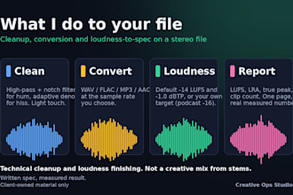 clean up audio, remove noise, and master to streaming specs