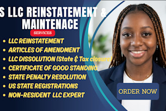 reinstate llc, file business amendment, or dissolve US company