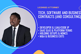 draft tech contracts, software IP agreements, and be your tech lawyer