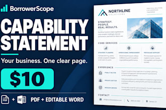 create a professional one page business capability statement