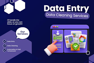 data entry and data cleaning with automation