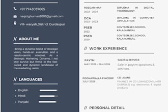 do data entry, create a professional resume and update your CV