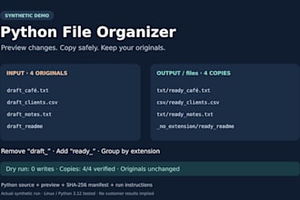 build a python file organizer with a dry run preview