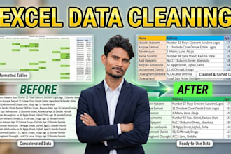 do excel data cleaning, formatting, and data cleanup