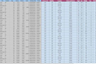 accurate data entry and excel data processing
