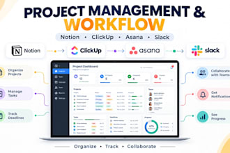 create a notion,clickup, asana, slack project management dashboard
