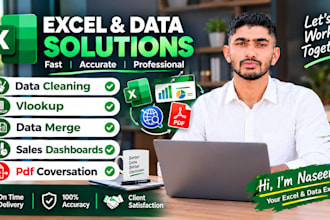 do data cleaning, vlookup, data merge, sales dashboards, pdf coversation