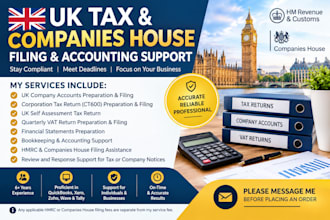do UK company accounts and uk tax return filing with hmrc
