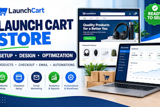 design a responsive launch cart store