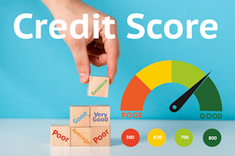 dispute inquiries, collection, charge off on experian, equifax and transunion