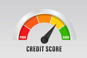 provide professional credit repair and dispute assistance, credit repair