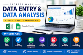 provide professional data entry and data analysis services