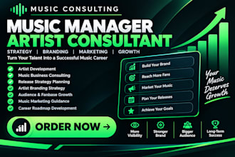 be your professional music manager artist consultant music marketing strategist